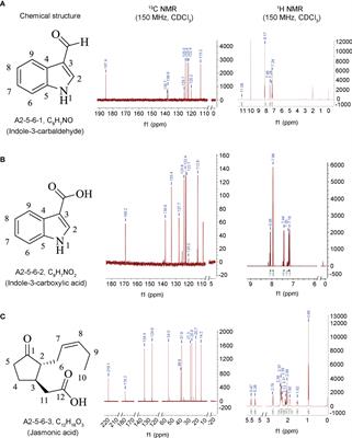 Indole-3-Carboxylic Acid From the Endophytic Fungus Lasiodiplodia pseudotheobromae LPS-1 as a Synergist Enhancing the Antagonism of Jasmonic Acid Against Blumeria graminis on Wheat